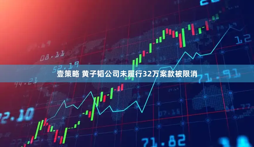 壹策略 黄子韬公司未履行32万案款被限消