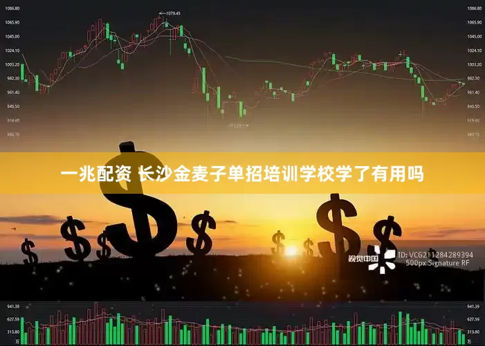 一兆配资 长沙金麦子单招培训学校学了有用吗