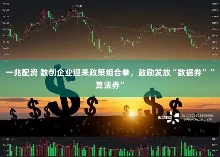 一兆配资 数创企业迎来政策组合拳，鼓励发放“数据券”“算法券”