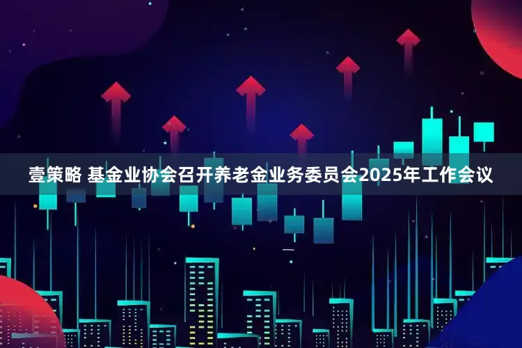 壹策略 基金业协会召开养老金业务委员会2025年工作会议